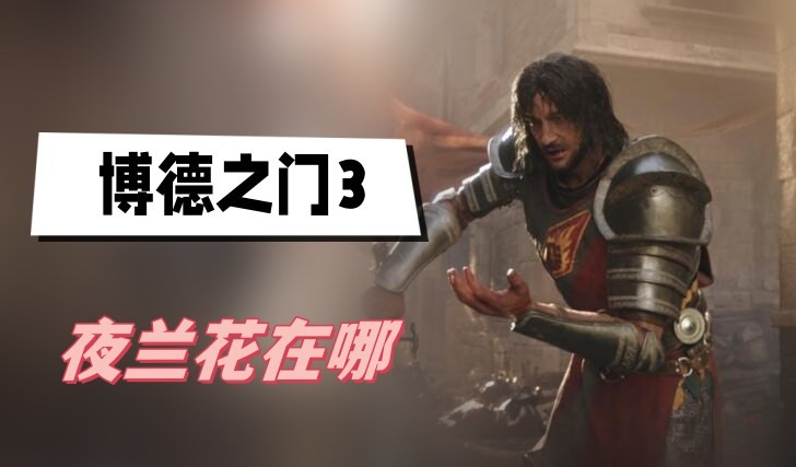 博德之门3夜兰花在哪-博德之门3夜兰花获取位置分享