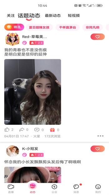 桃花直播在线下载下载