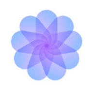 菠萝菠萝蜜高清视频在线观看