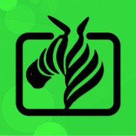 青草视频在线观看免费