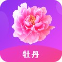 美美哒免费高清视频在线观看直播