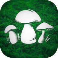 真实采蘑菇模拟器(Real Mushroom Hunting)安卓版下载游戏